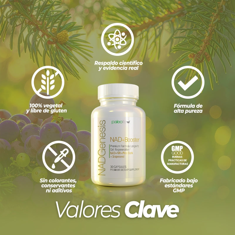 NADGenesis – Recarga tus células